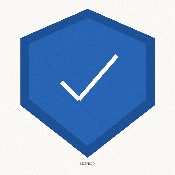 捷克街头视频制作授权徽章由国家广电总局颁发